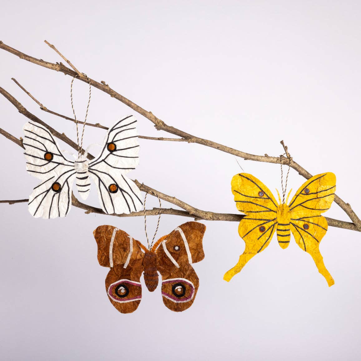 Madagascar Silk Moth Ornament - Tan