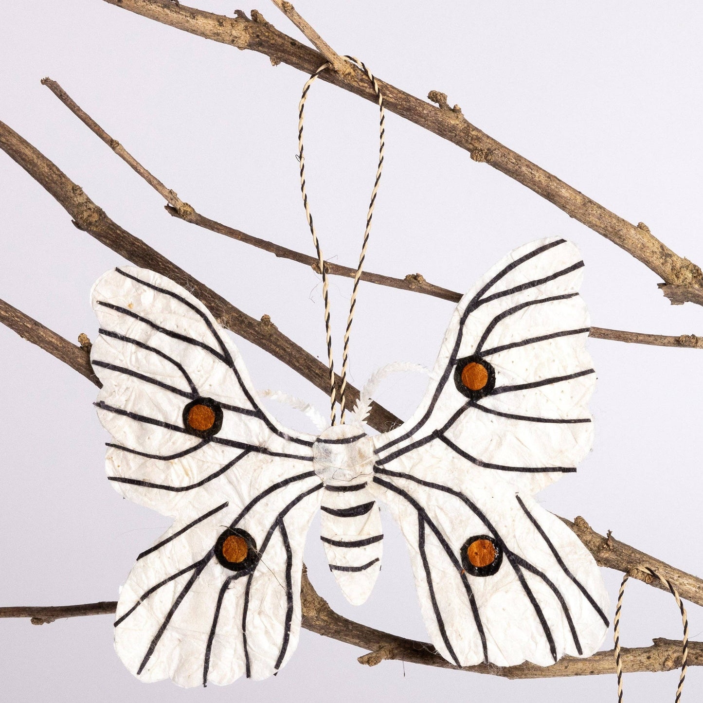 Madagascar Silk Moth Ornament - White