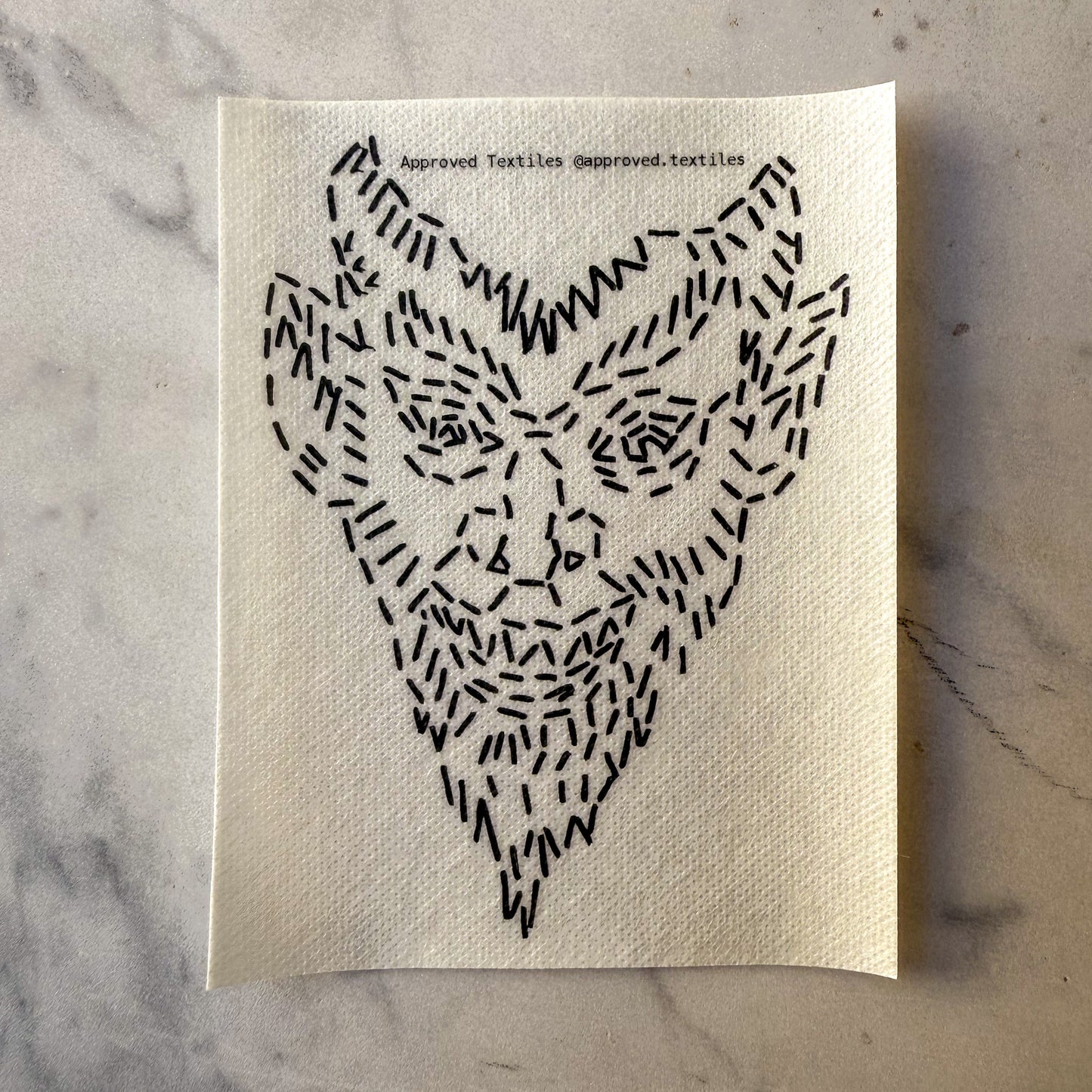 The Witches' Coven: Visible Mending Transfers