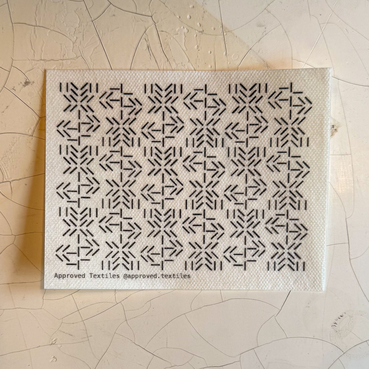 Desert Flora: Visible Mending Transfers