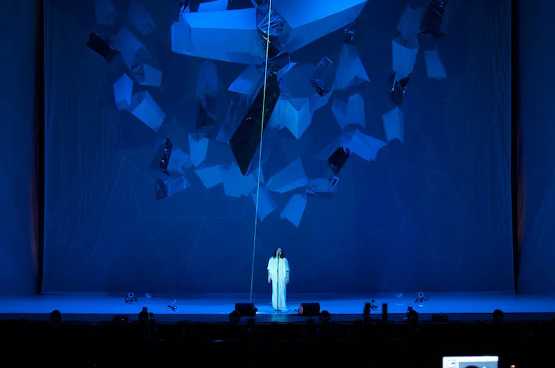 Anohni: Visible Mending Transfers