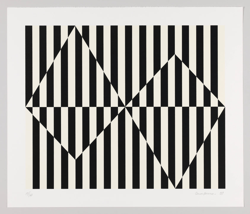 Carmen Herrera: Visible Mending Transfers