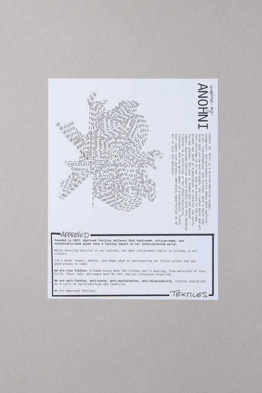 Anohni: Visible Mending Transfers