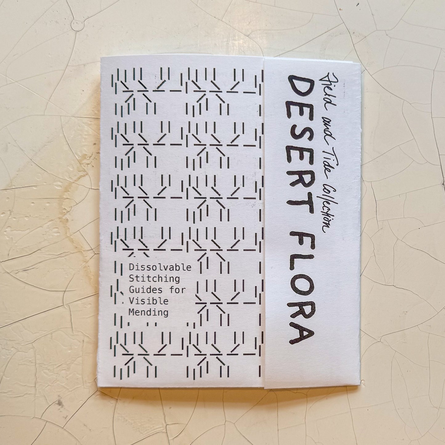 Desert Flora: Visible Mending Transfers