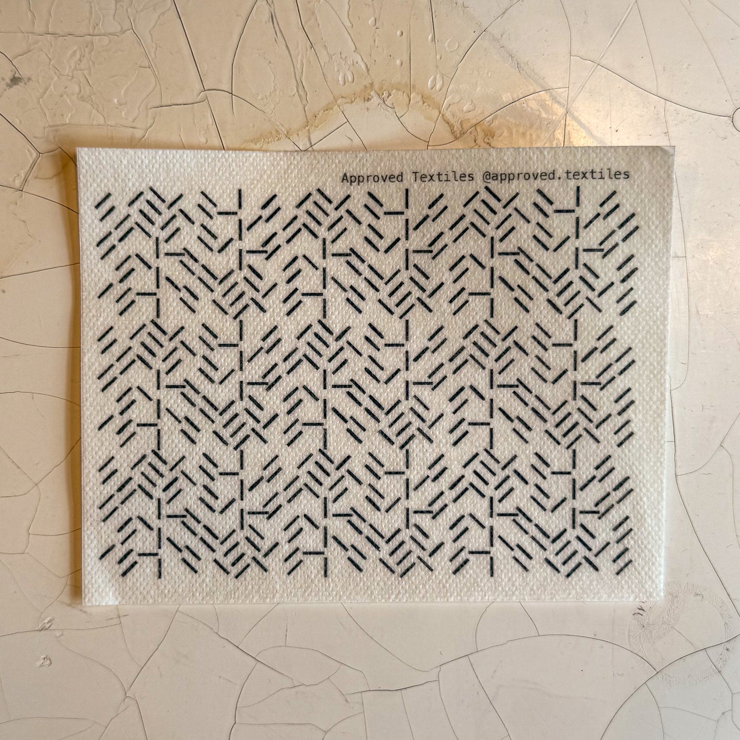 Desert Flora: Visible Mending Transfers