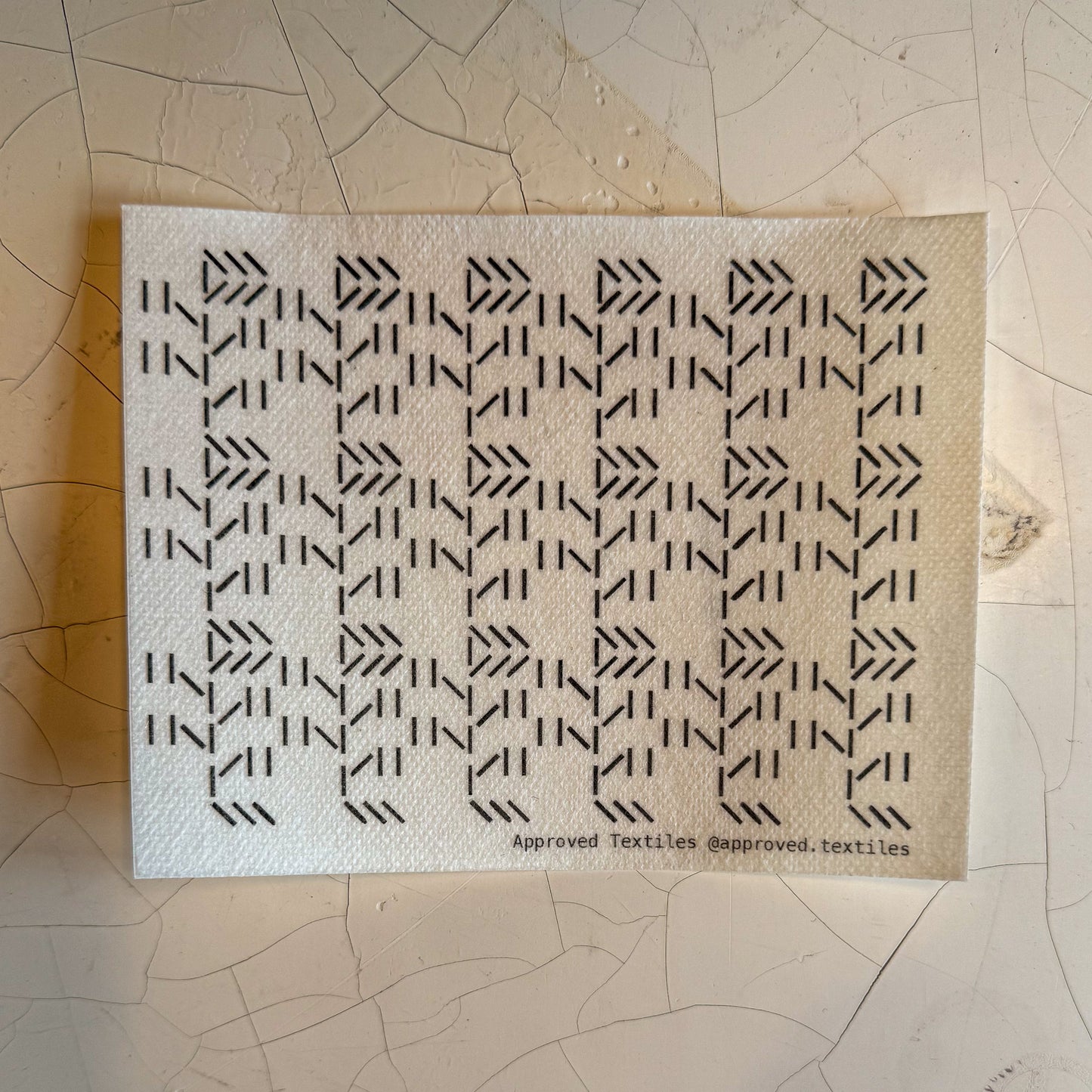 Desert Flora: Visible Mending Transfers