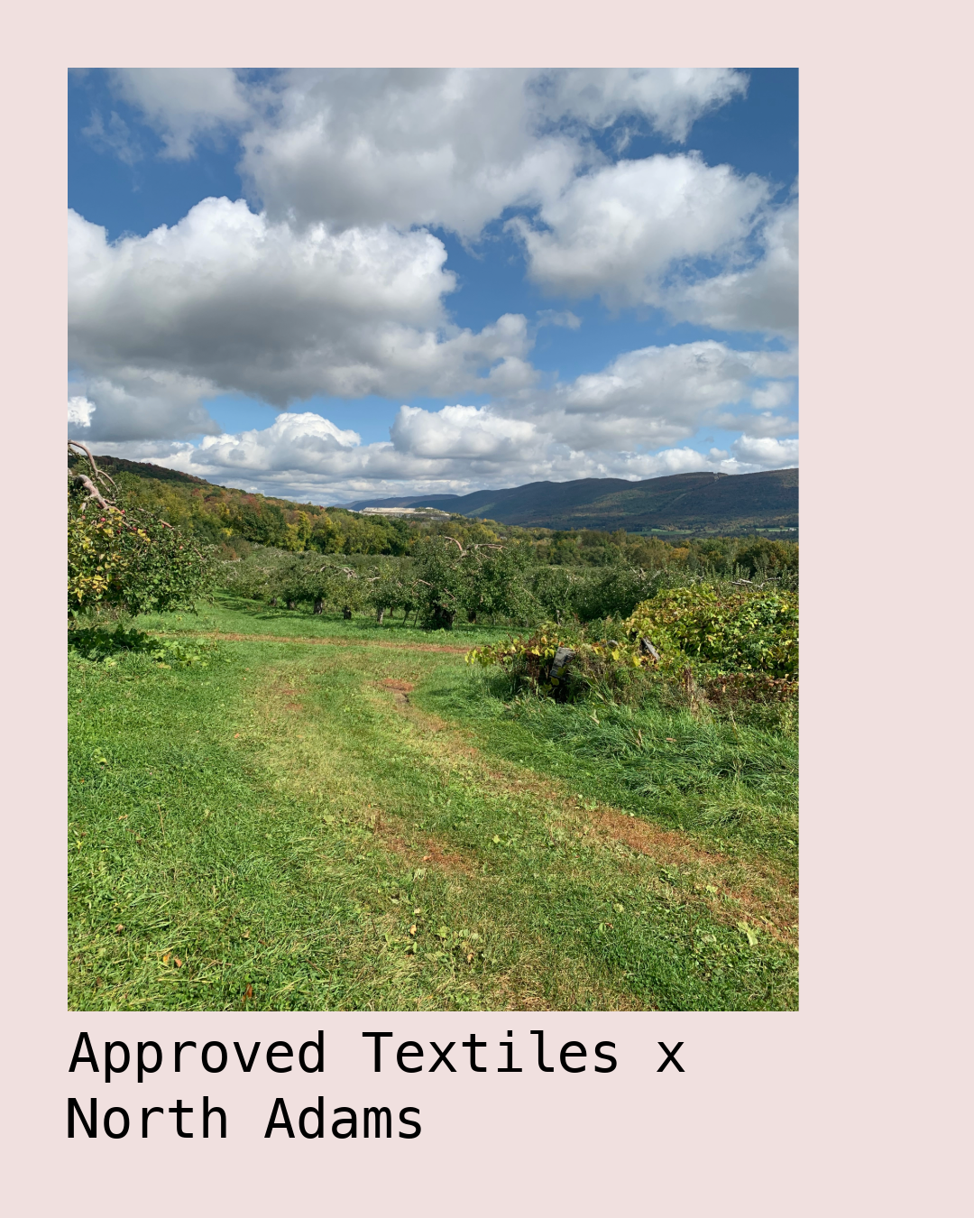 Approved Textiles in North Adams____09.19.2026 (12 - 2 PM)